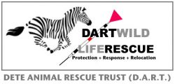 DARTlogo